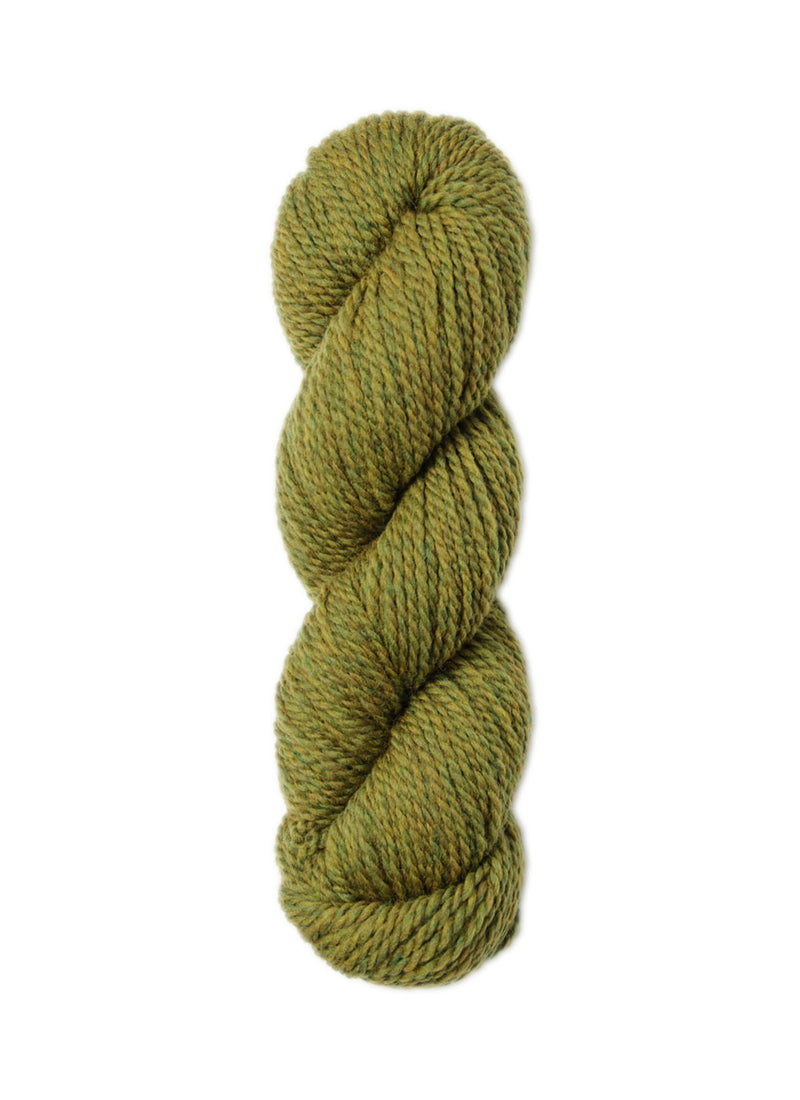 Chargez l'image dans la visionneuse de la galerie, BSF-1309|Blue Sky Fibers Woolstok Worsted Yarn 50g, 1309 Earth Ivy