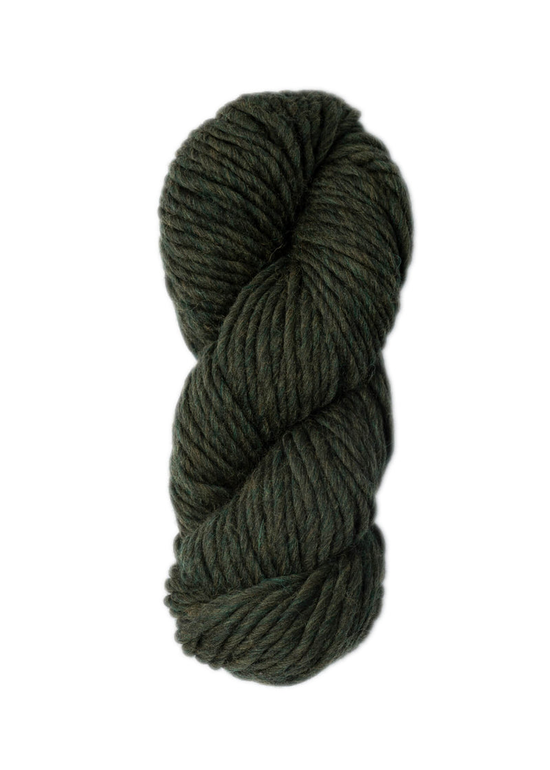Chargez l'image dans la visionneuse de la galerie, BSF-4306|Blue Sky Fibers Woolstok North Super Bulky Yarn 150g, 4306 Wild Thyme