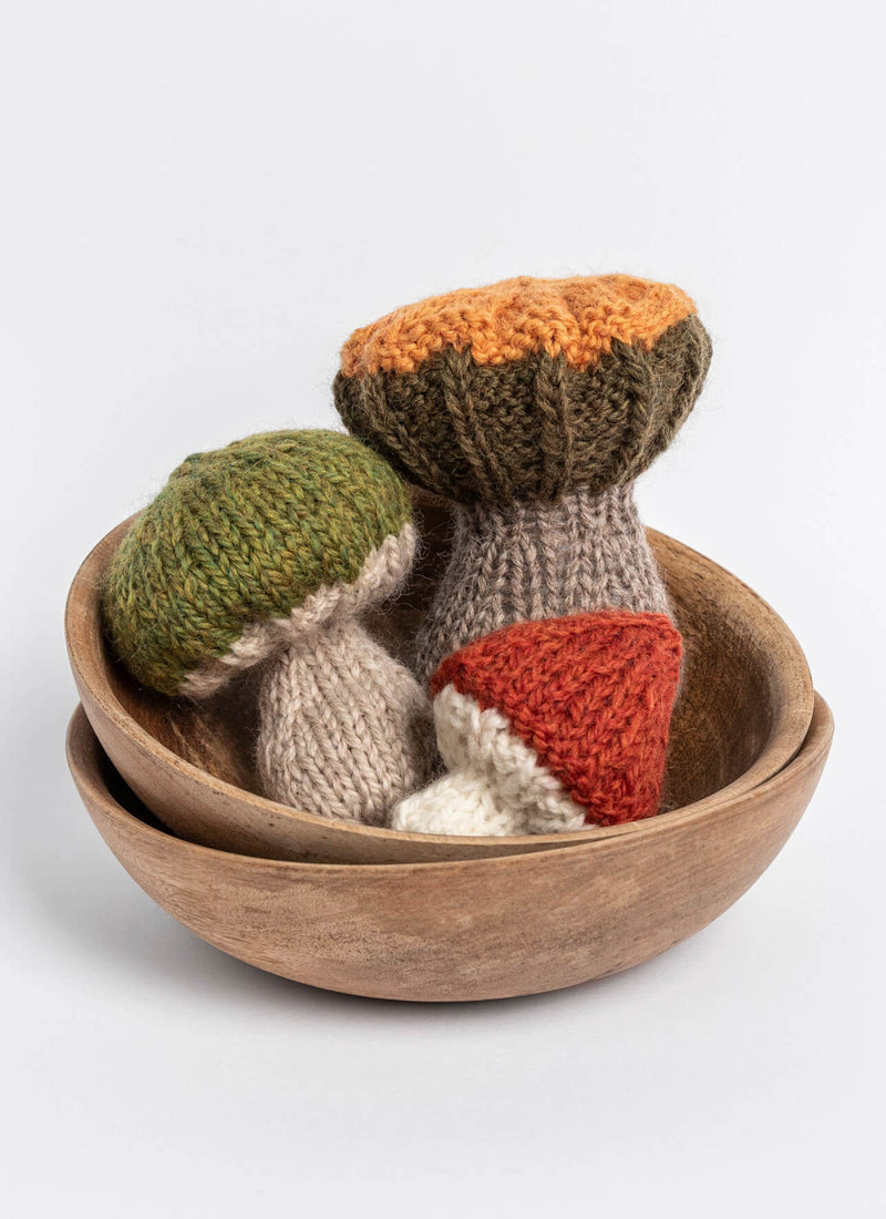 Chargez l'image dans la visionneuse de la galerie, BSF-1309|Blue Sky Fibers Woolstok Worsted Yarn 50g, 1309 Earth Ivy