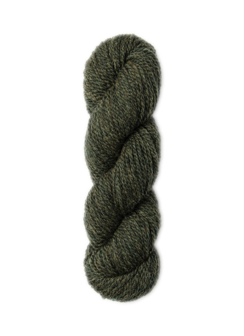 Chargez l'image dans la visionneuse de la galerie, BSF-1306|Blue Sky Fibers Woolstok Worsted Yarn 50g, 1306 Wild Thyme