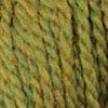 Chargez l'image dans la visionneuse de la galerie, swatch_1309 Earth Ivy|1309 Earth Ivy