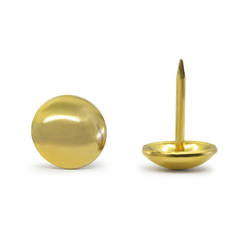 Chargez l'image dans la visionneuse de la galerie, 44287|Dritz 7/16" Decorative Nailhead Trim, Brass, 75 pc