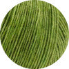 Chargez l'image dans la visionneuse de la galerie, swatch_02 Apple Green|02 Apple Green