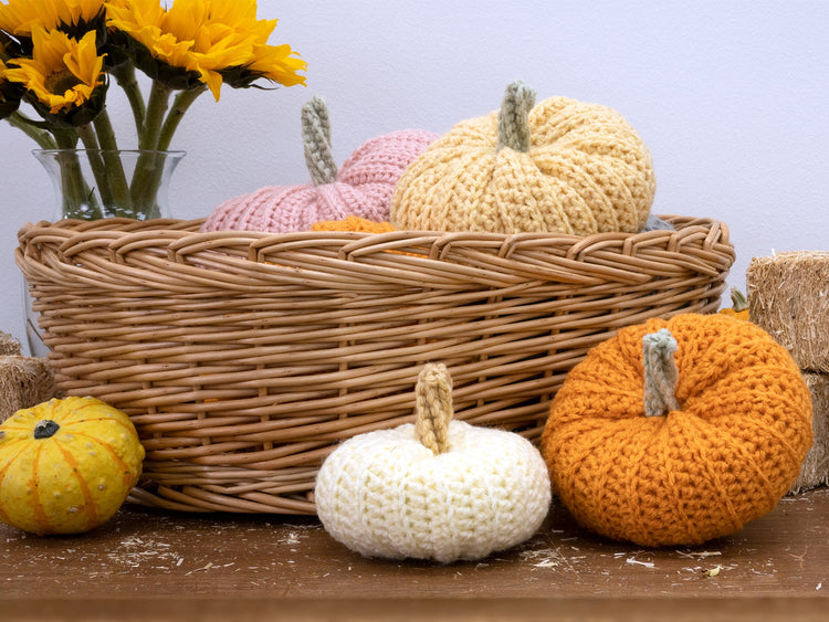 Crochet Pumpkins Project