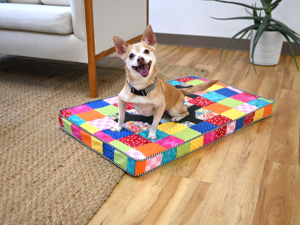 Dog on the pet bed