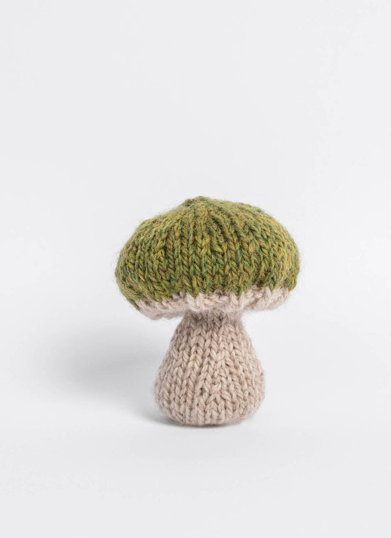 Load image into Gallery viewer, BSF-202418|Blue Sky Fibers Fall Fungi Pattern, Free PDF Pattern