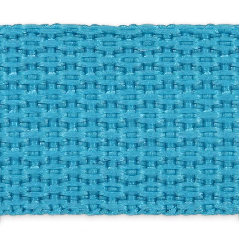 Load image into Gallery viewer, 28608-52|Dritz 1" Polypro Belting &amp; Strapping, Teal, 2 yd
