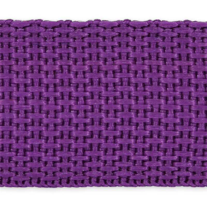 Load image into Gallery viewer, 28608-40|Dritz 1" Polypro Belting &amp; Strapping, Purple, 2 yd

