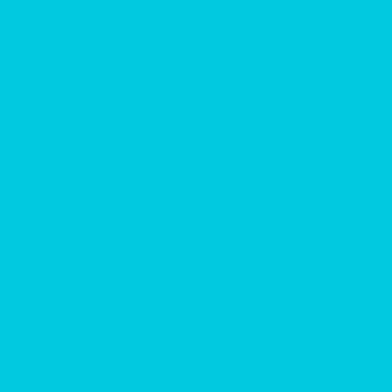 Load image into Gallery viewer, swatch_Mint|Prym Eyelets with washers 14 mm mint 15pc