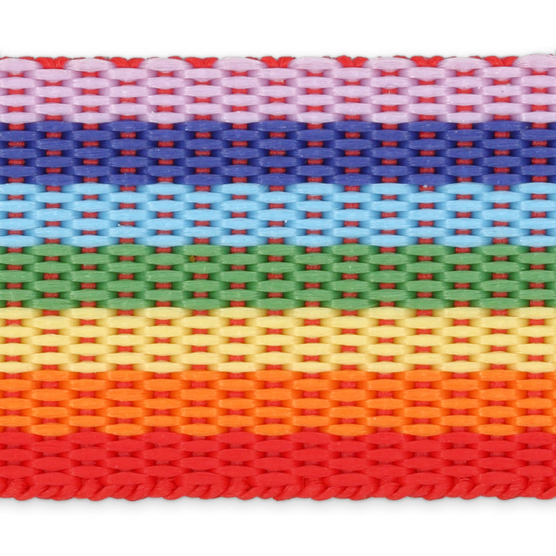Chargez l'image dans la visionneuse de la galerie, 450|Dritz 1" Polypro Belting &amp; Strapping, Rainbow, 60" Long