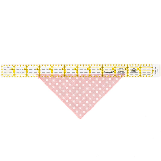 R1C|Omnigrid Rectangle Ruler, 1" x 12"